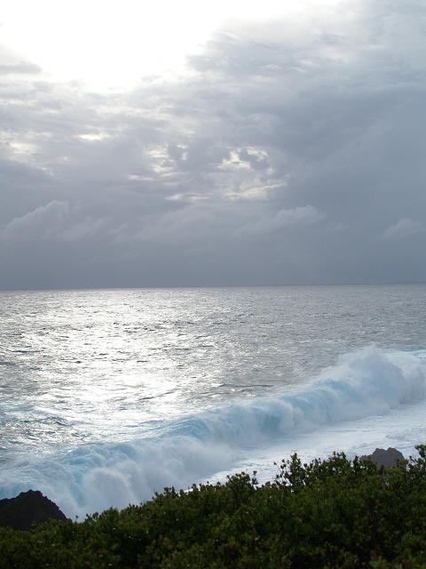 e0078071_1217117.jpg