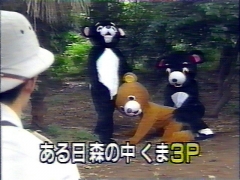 もりのくまさんぴーについて ぺにっき 仮 もりのくまさんぴーについて ぺにっき 仮