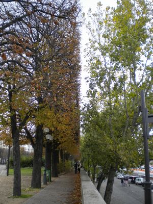 b0181081_2193.jpg
