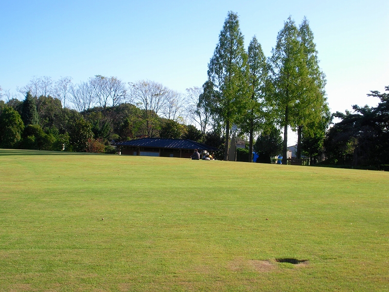 d0120382_21354224.jpg