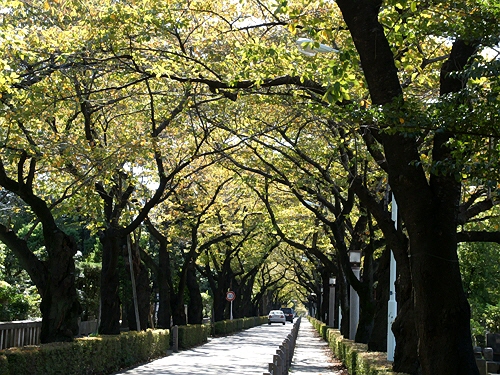 e0156083_15424395.jpg