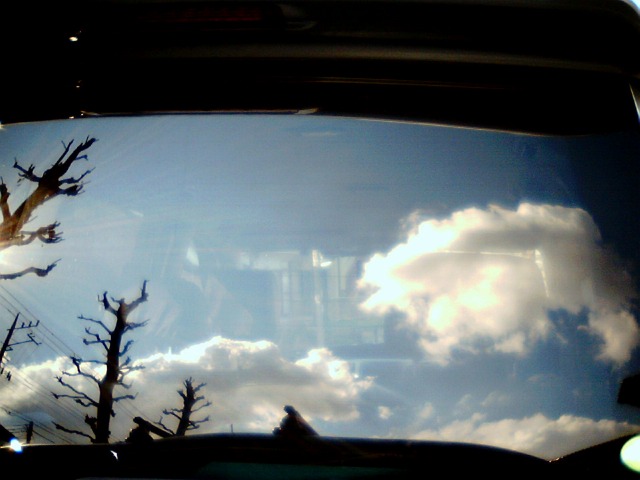 f0016783_0233169.jpg