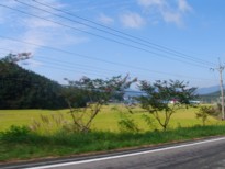 f0125588_15565899.jpg