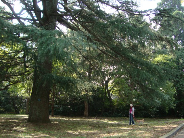 突然、目がキラリ!_a0126590_21225278.jpg