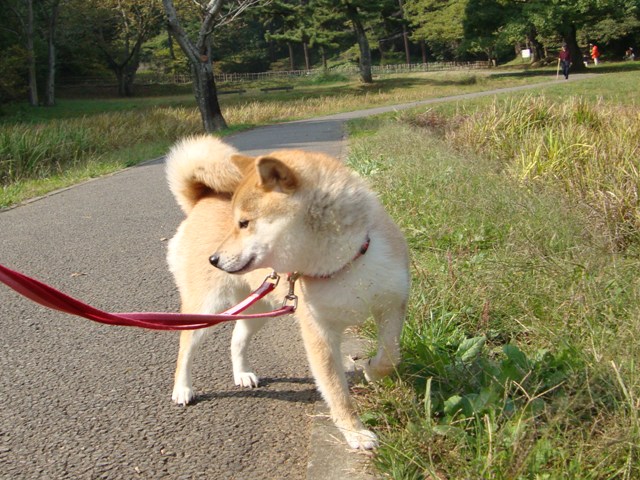 突然、目がキラリ!_a0126590_21331451.jpg