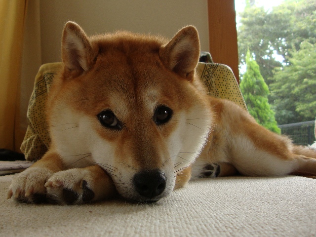 今日も、特別な日_a0126590_5365744.jpg