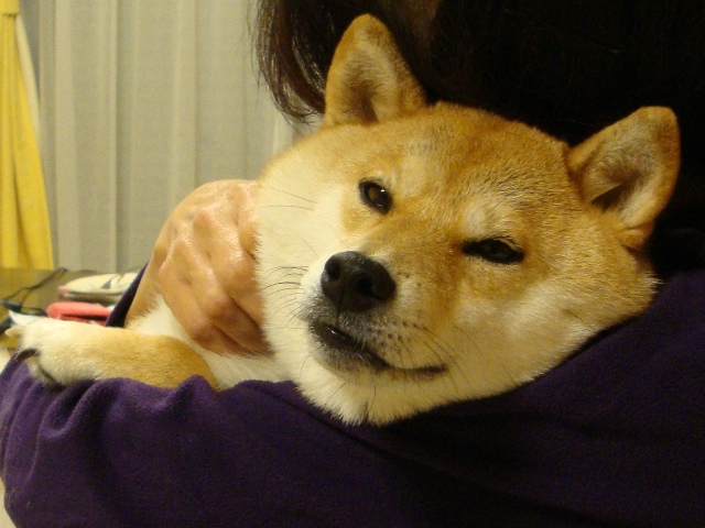 今日も、特別な日_a0126590_537318.jpg