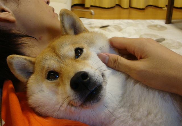 今日も、特別な日_a0126590_7153846.jpg