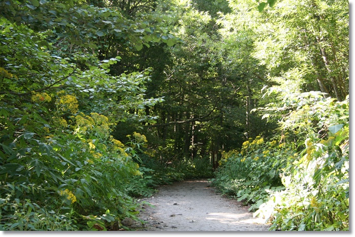 f0146493_22561719.jpg