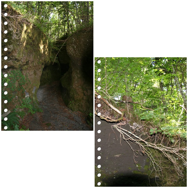 f0146493_22571615.jpg