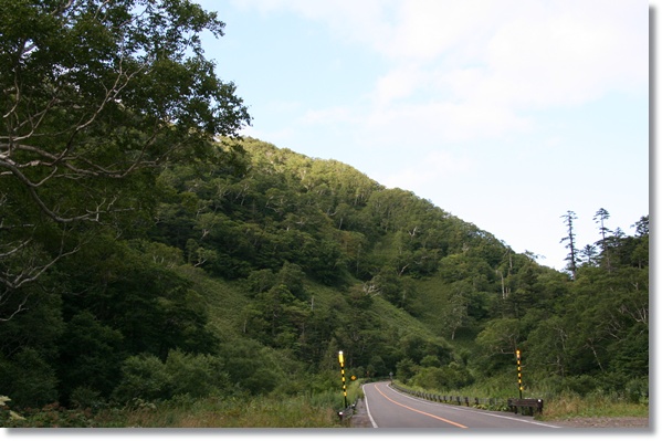 f0146493_22593830.jpg