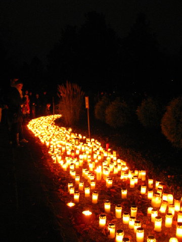 c0180096_6393879.jpg