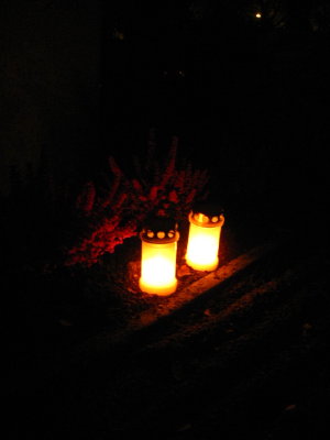 c0180096_6395934.jpg