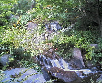 d0137896_13384080.jpg