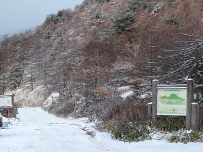 雪景色の朝_e0120896_755178.jpg