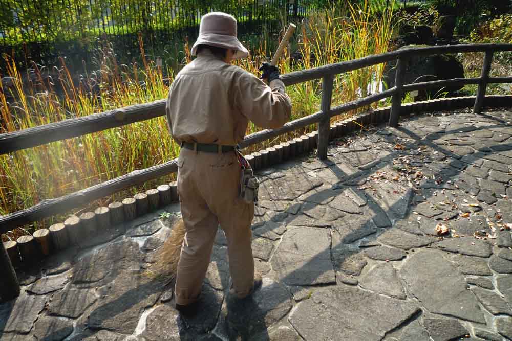 赤塚植物園　板橋区　東京都_a0078397_19322534.jpg