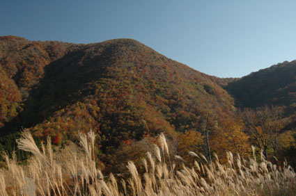 b0125397_1743233.jpg