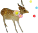 c0204298_0125872.gif