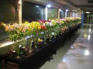 d0062298_133442100.jpg