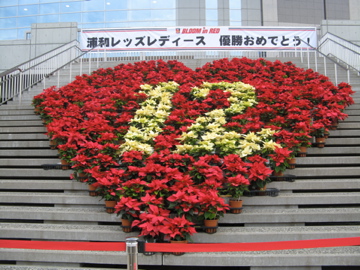 a0117599_8363794.jpg