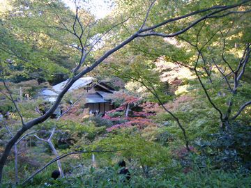 f0120102_20243317.jpg