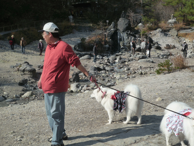 e0018604_14584690.gif