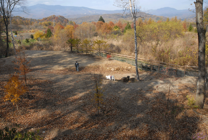 e0018604_1513459.gif