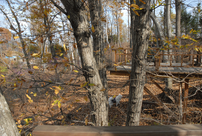 e0018604_1514490.gif