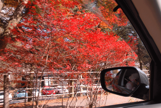 e0018604_156372.gif