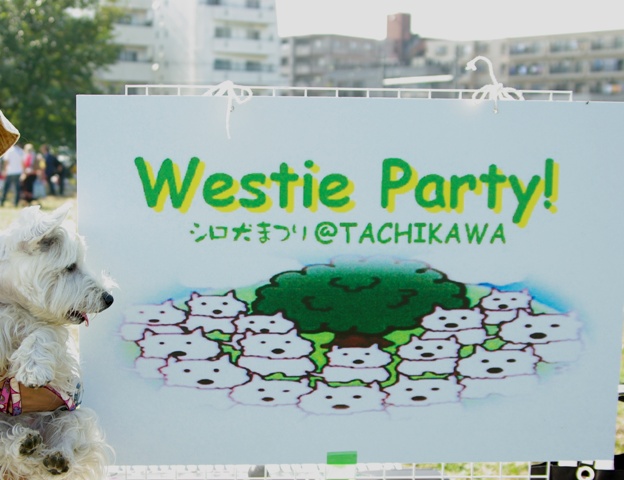 e0138005_1455353.jpg