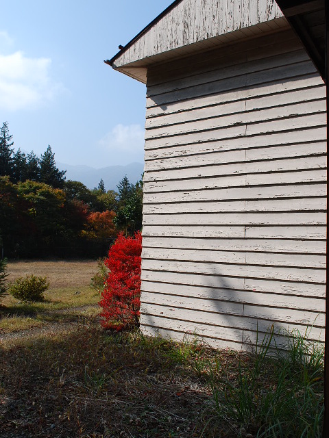 埼玉県旧秩父郡大滝村立小学校三峰分校(建築家・関根要太郎参考作品)_f0142606_18363995.jpg