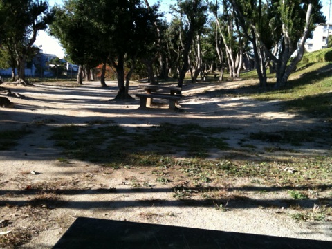 e0004311_14233890.jpg