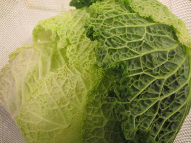 ちりめん キャベツ
