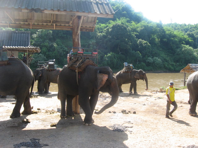 タイ旅行_d0102413_21535927.jpg