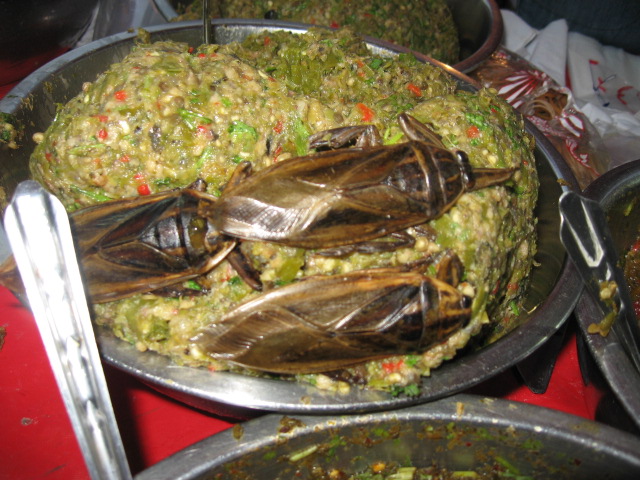タイ旅行_d0102413_22104840.jpg