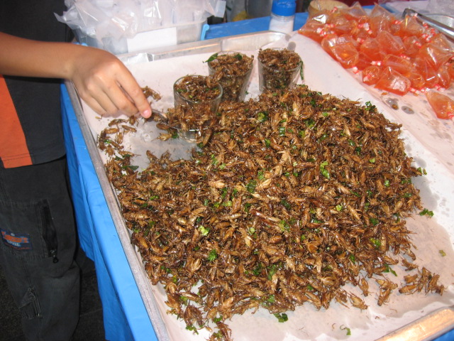 タイ旅行_d0102413_2222114.jpg