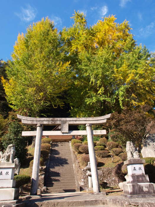 近くの神社_c0116915_23174983.jpg