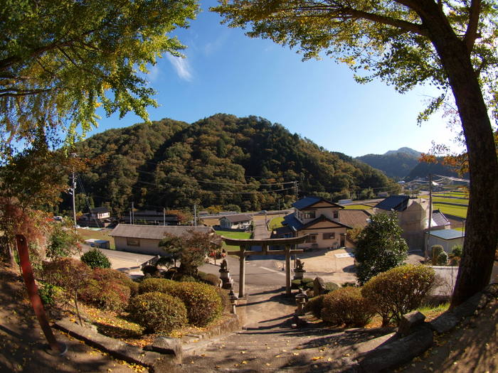 近くの神社_c0116915_2322352.jpg