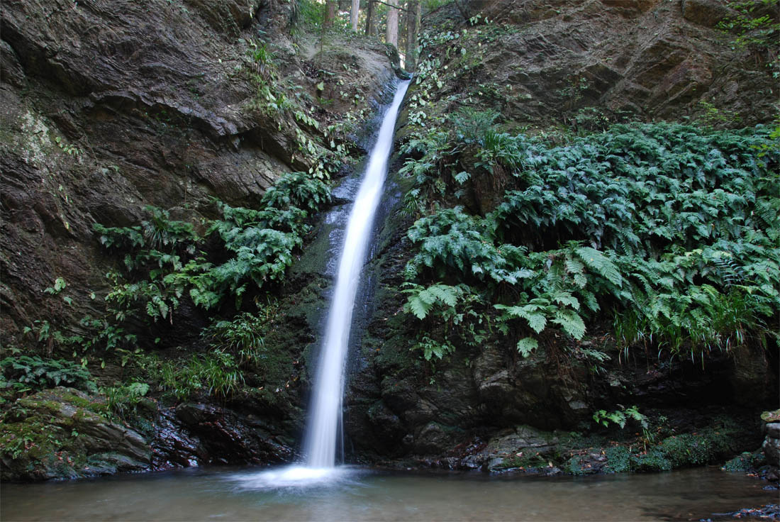 f0206417_20383721.jpg