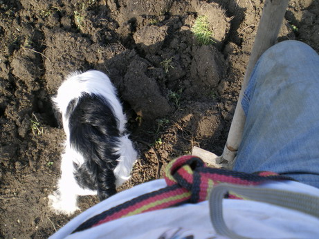 c0124619_1365840.jpg