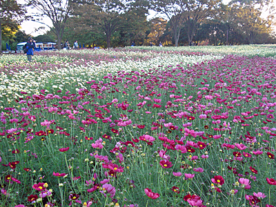 a0006321_163460.jpg