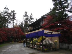 b0147224_1613335.jpg
