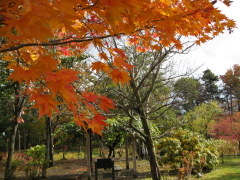 b0147224_16134779.jpg