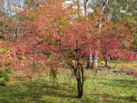 b0147224_16151595.jpg