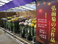 b0147224_16283338.jpg