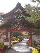 b0147224_1672068.jpg