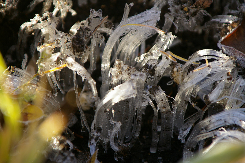 e0136424_822897.jpg