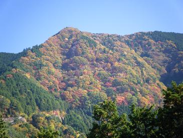 体験ウォークの手伝いに行って来ました_e0154524_181550100.jpg
