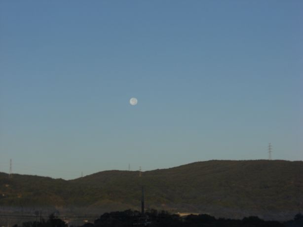 e0142430_2352246.jpg