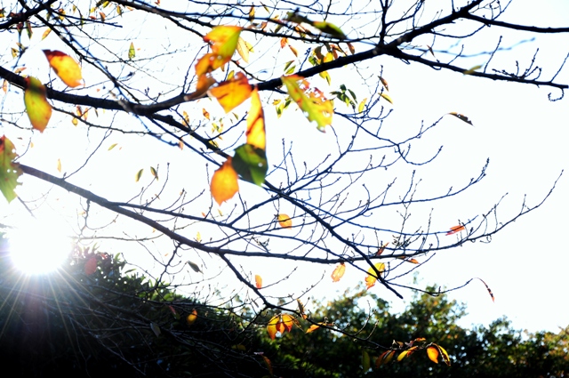 c0133533_14314247.jpg
